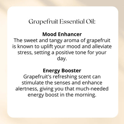 Fresh Start Shower Steamer