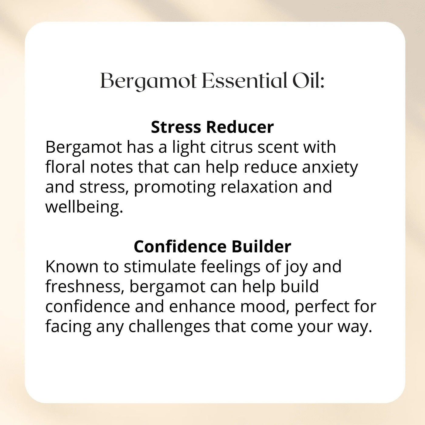 Fresh Start Shower Steamer