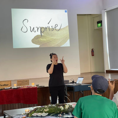 Person giving a presentation with a 'Surprise' slide projected on a screen.