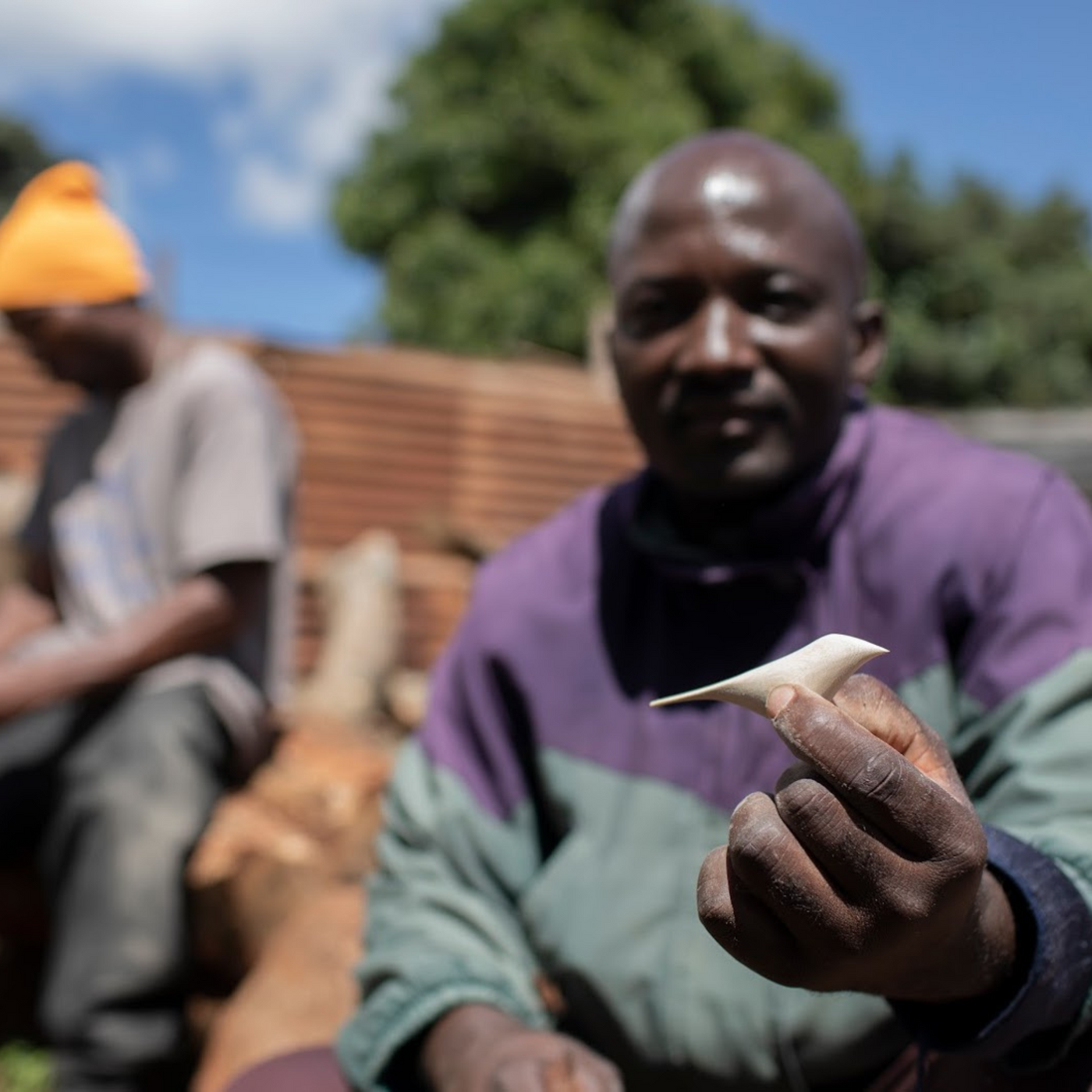 Hand Crafted Ornament - Peaceful Dove