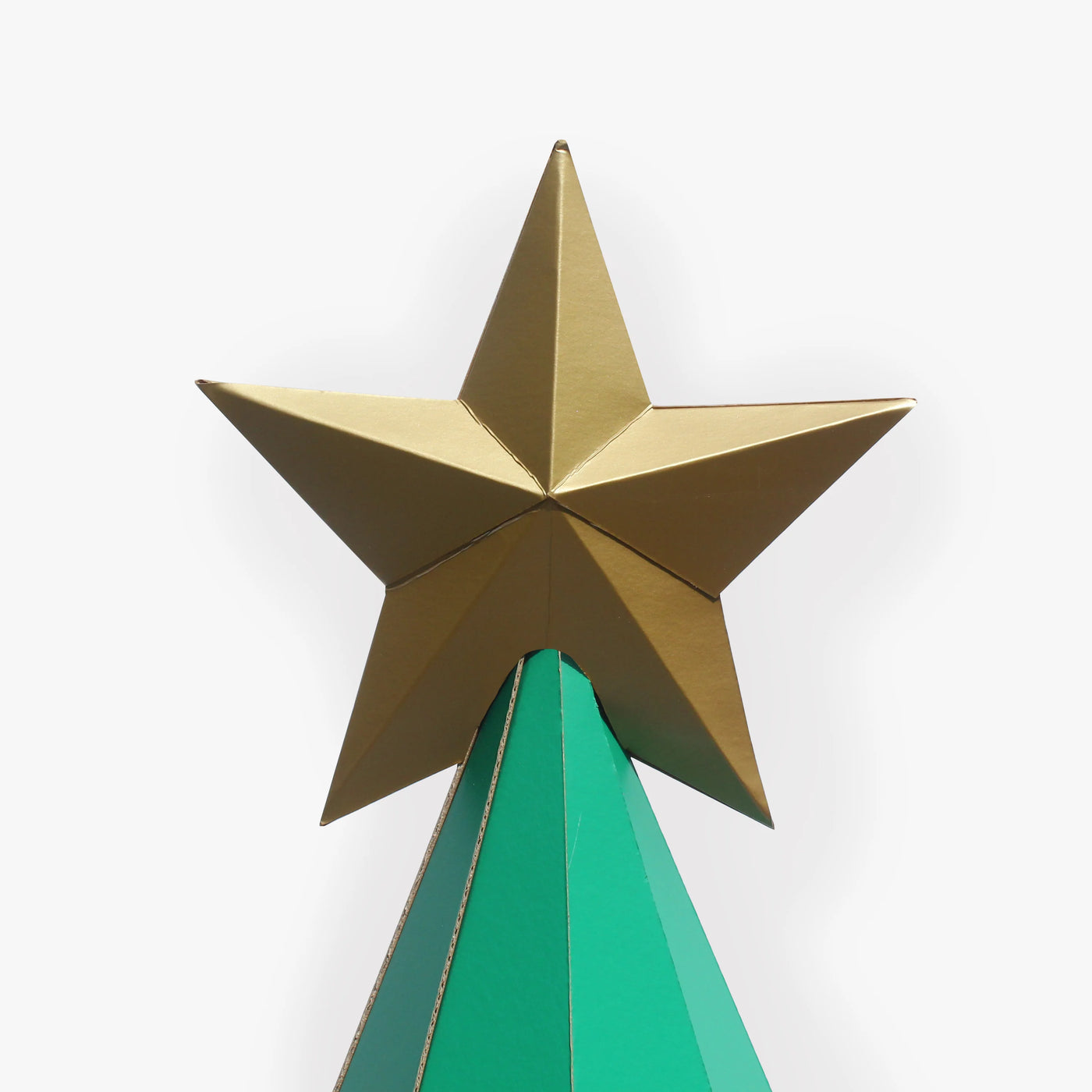 Cardboard Advent Calendar (Pre-order)