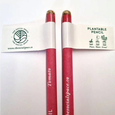 Plantable Pencils (Bulk)