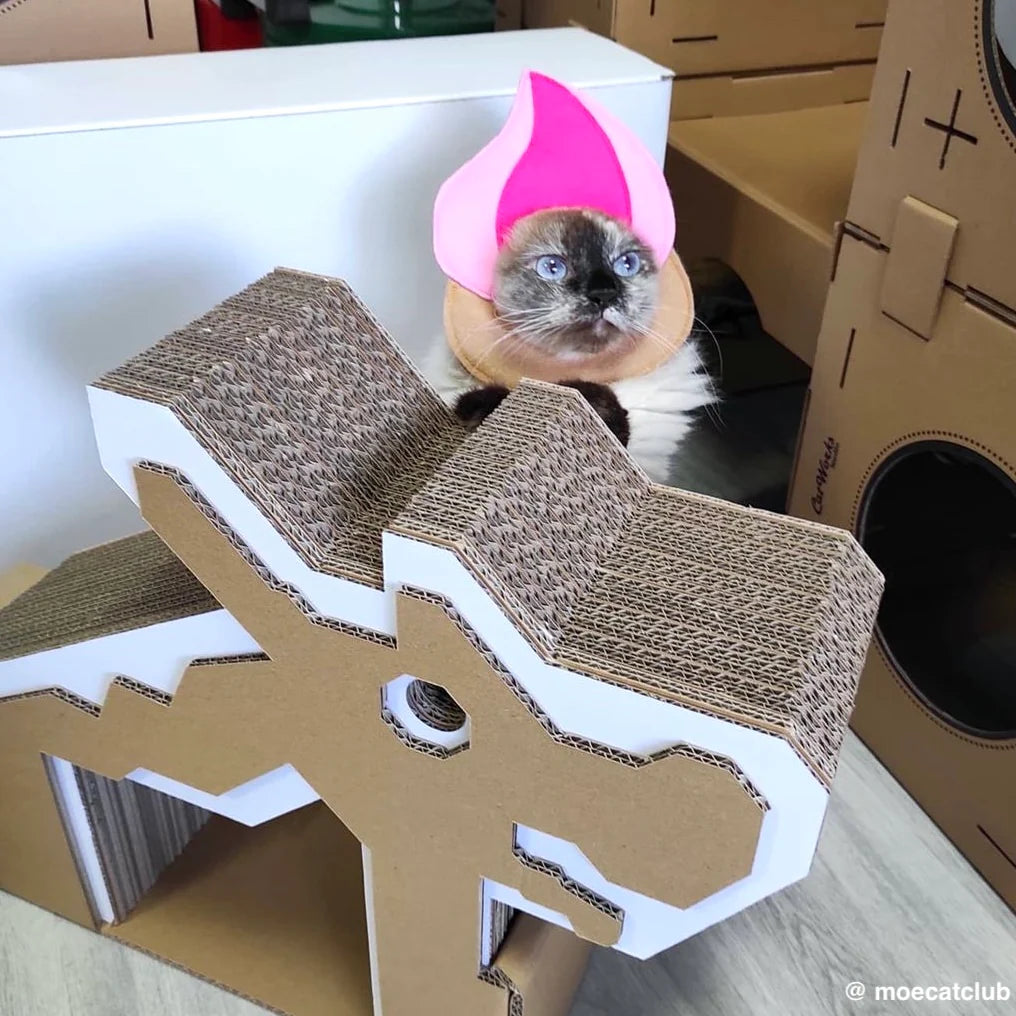 Dragon Playground Scratchpad (Pre-order)