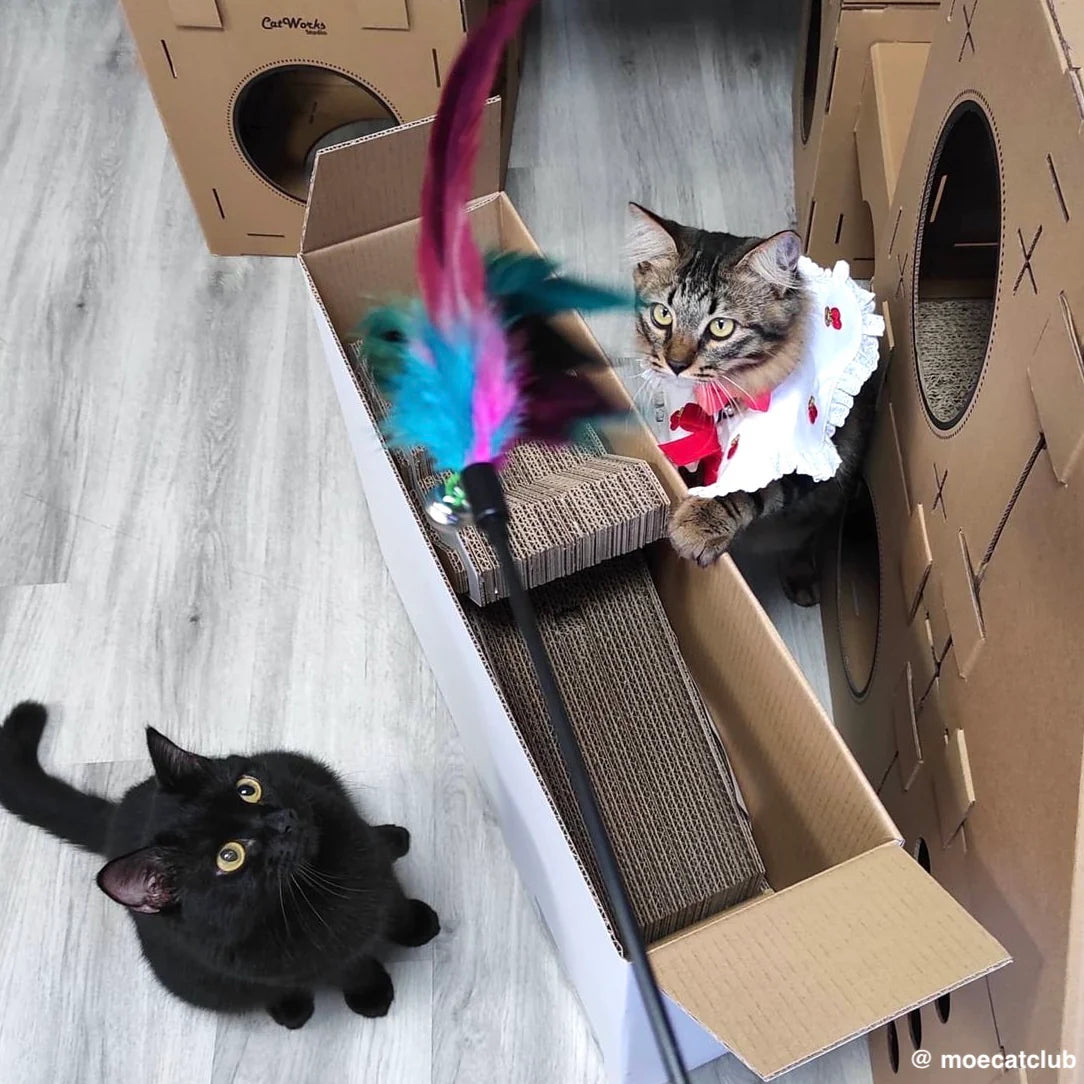 Dragon Playground Scratchpad (Pre-order)