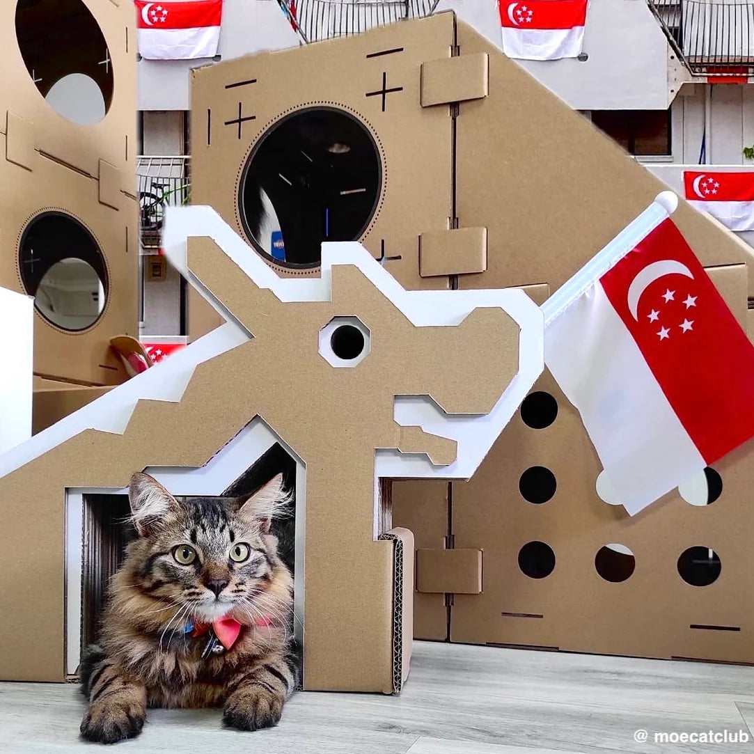 Dragon Playground Scratchpad (Pre-order)