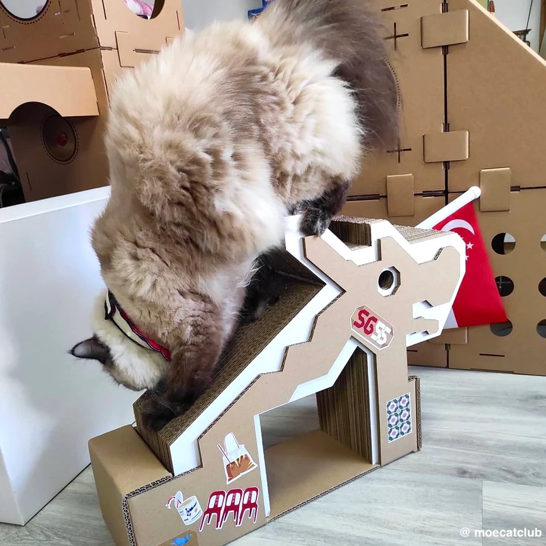 Dragon Playground Scratchpad (Pre-order)