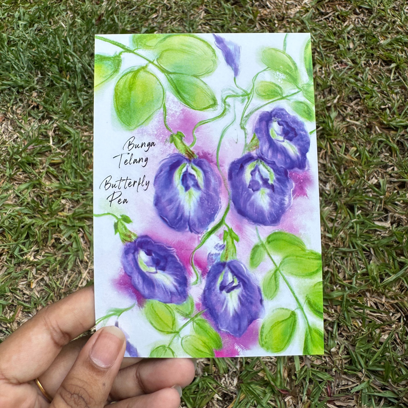 Peranakan-Inspired Postcard