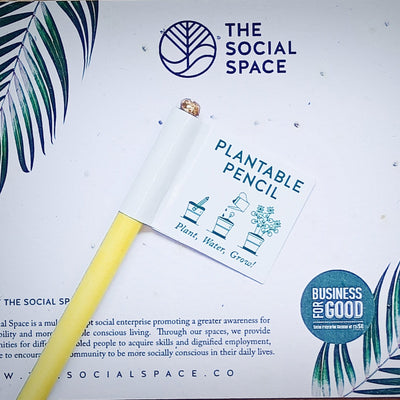 Plantable Pencils (Bulk)