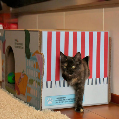 Cat Box House