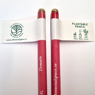 Plantable Pens (Bulk)