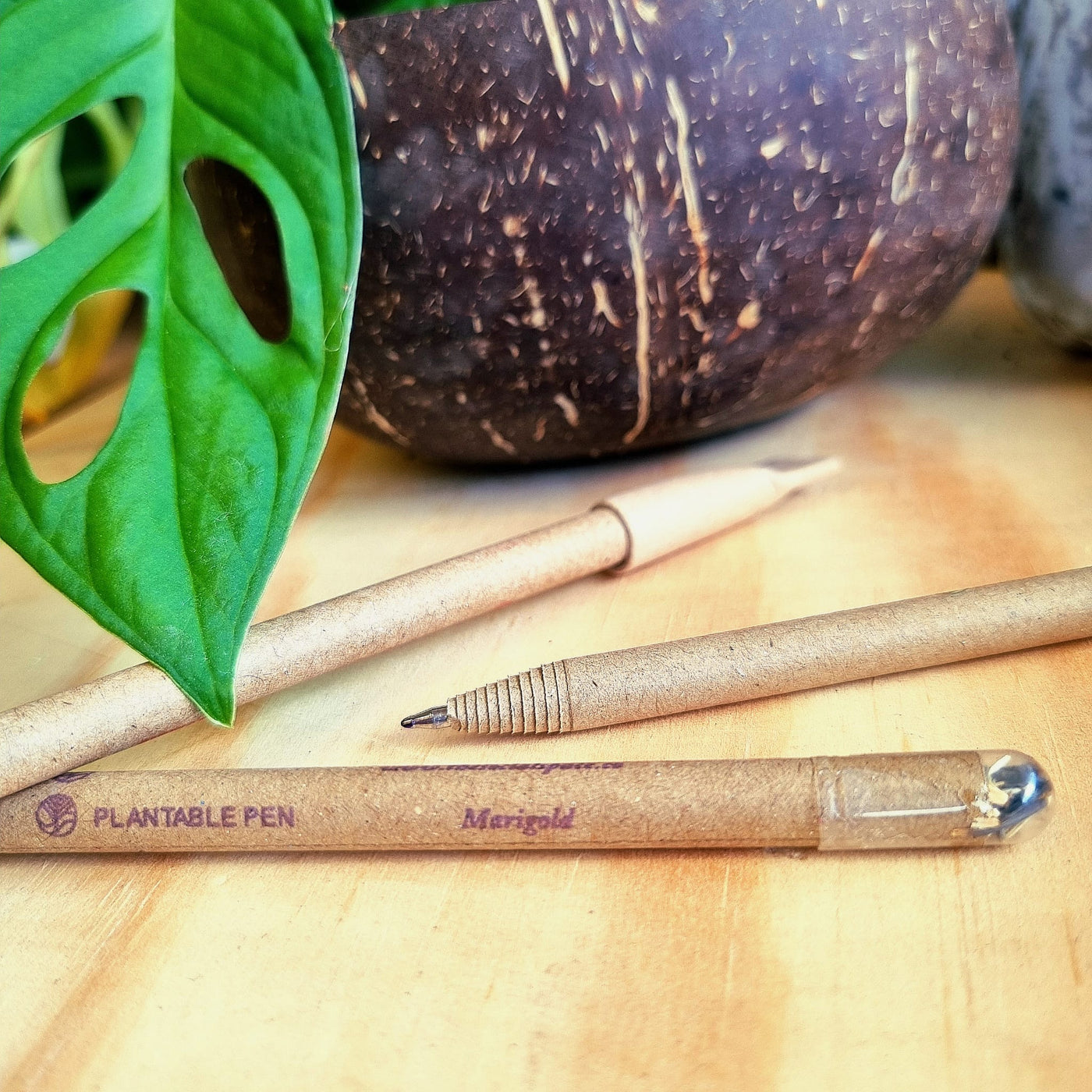 Plantable Pens (Bulk)