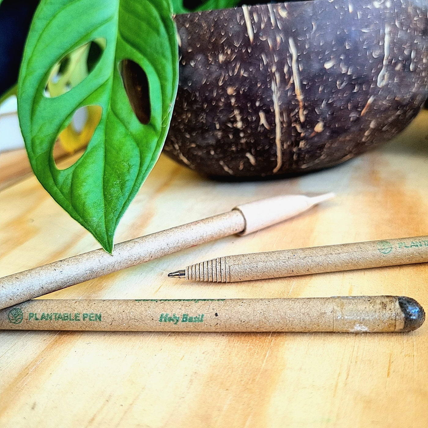 Plantable Pens (Bulk)